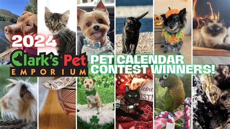 Congrats to our 2024 Pet Calendar Contest Winners!