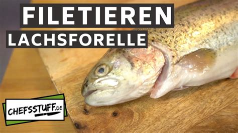 Forelle Filetieren Fisch Filetieren Lachsforelle Warenkunde