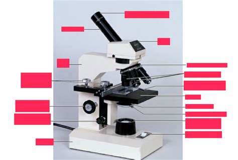 Label A Compound Microscope Diagram Quizlet