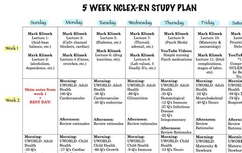 5 Week NCLEX Study Plan Detailed Etsy