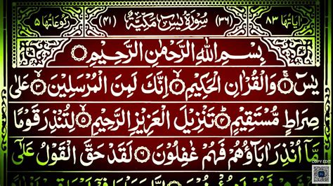 Surah Yaseen Surah Rahman || Best Qur'an Recitation Surah Mulk || Surah ...