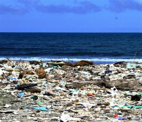 Playa De Omoa Se Llena De Basura Procedente De Guatemala