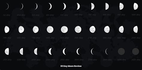 Day Moon Phases And Moon Calendar Vector Art At Vecteezy