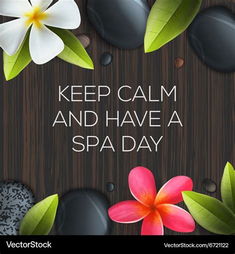 Keep calm and have a spa day Royalty Free Vector Image