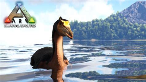 Hesperornis Ark Comment L Apprivoiser Localisation Tout Savoir