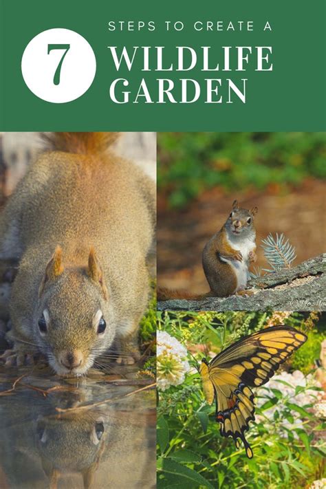 7 Simple Steps To Create A Wildlife Garden Wildlife Gardening