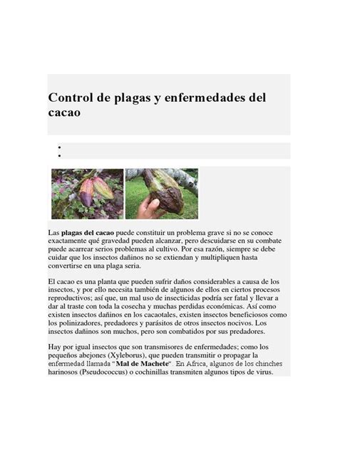 Control De Plagas Y Enfermedades Del Cacao Pdf Insectos Plaga