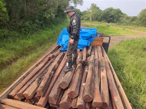 Polícia Ambiental flagra transporte ilegal de madeira nativa e ameaçada