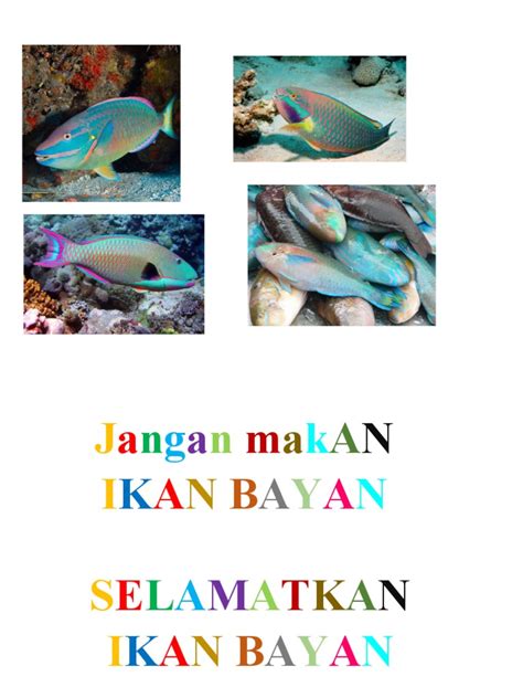 Ikan Bayan Pdf