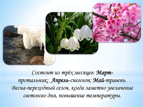 Времена года. Весна - презентация онлайн