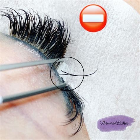 Likes Comments Eyelashextensions Thousandlashes On