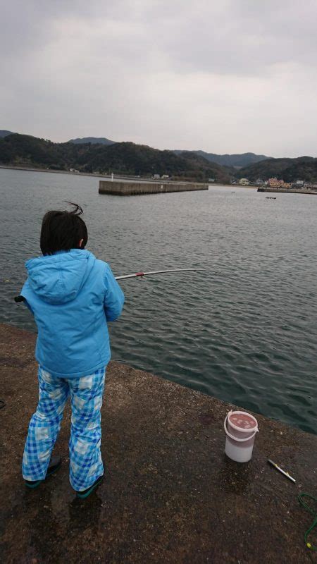 子どもとサビキ釣り 和歌山県 加太漁港 サビキ サバ 陸っぱり 釣り・魚釣り 釣果情報サイト カンパリ