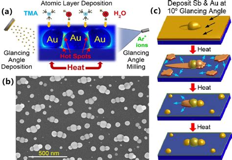 Figure 1 from Plasmonic Biosensors with Nanostructure for Healthcare ...