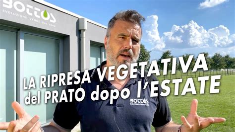 La Ripresa Vegetativa Del Prato Dopo Lestate YouTube