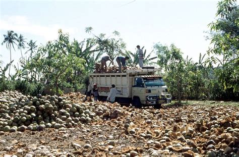 Lombok 9 Entlang der Westküste nach Norden