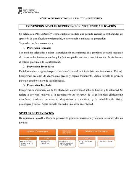 Prevención Niveles de Prevención Niveles de Aplicación Patricio