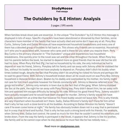 The Outsiders Paragraph Summary