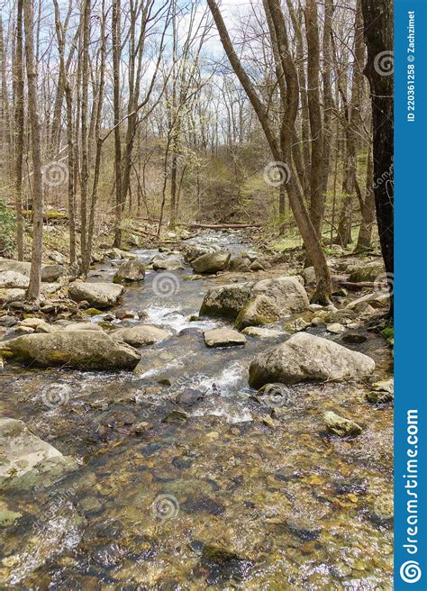 Rushing Mountain Stream With Boulders Near Corbin Cabin In Shenandoah