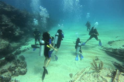 Buceo En Punta Cana Ms Dreamers Excursiones En Punta Cana Tours