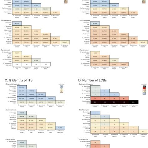 Plots of chromosome synteny based on pairwise BLASTN alignment among ... 
