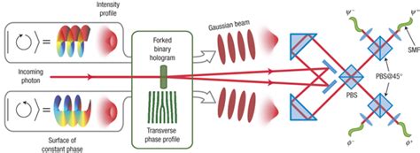 Spin Orbit Bell State Analyser A Photon In A Spin Orbit Bell State Download Scientific Diagram