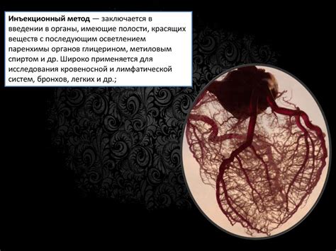 Анатомия, физиология как наука. Методы изучения. Анатомическая ...