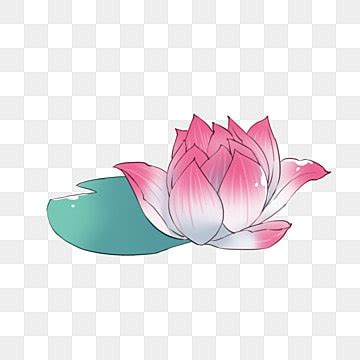 Red Hand Painted Lotus Png Vector Psd And Clipart With Transparent