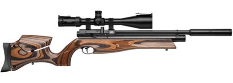 Top 5 Best Pcp Air Rifles You Can Get Your Hands On In 2023