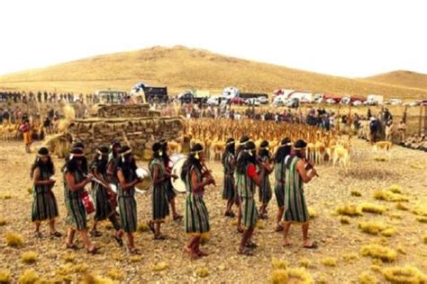 Ayacucho Reserva Nacional Pampa Galeras Fue Escenario De Tradicional