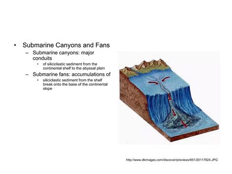 define submarine canyon 6