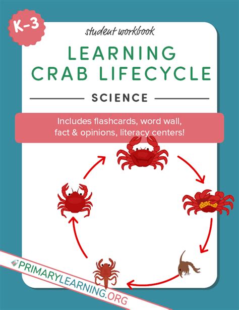 Crab Life Cycle Workbook Primarylearning Org