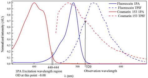 Normalized Absorption And Tpif Spectra Of Fluorescein And Coumarin 153