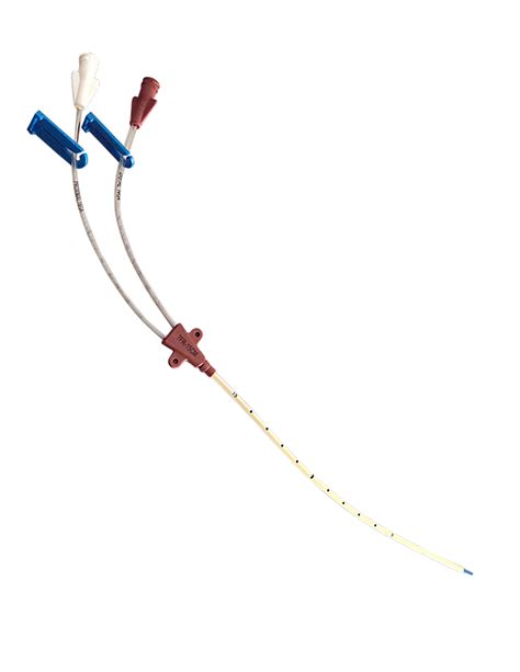 Double Lumen Catheter