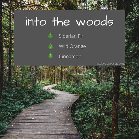 Into The Woods Diffuser Blends Wild Orange Diffuser Recipes