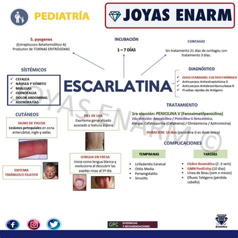 Enfermedades exantemáticas Quizlet