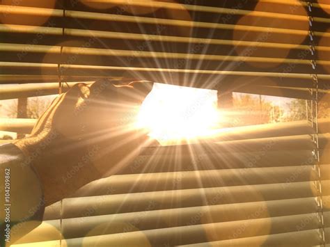 Bright Sun Shines Through The Window Stock Photo Adobe Stock