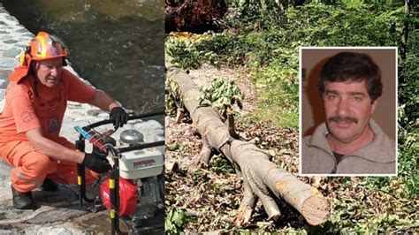 Friuli Travolto Da Un Albero In Un Bosco Muore Volontario Della