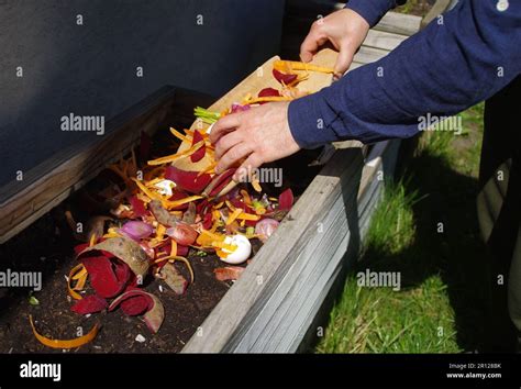 Recyclage Des Aliments De Cuisine Banque De Photographies Et Dimages à