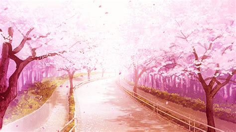 cherry blossom gif on Tumblr