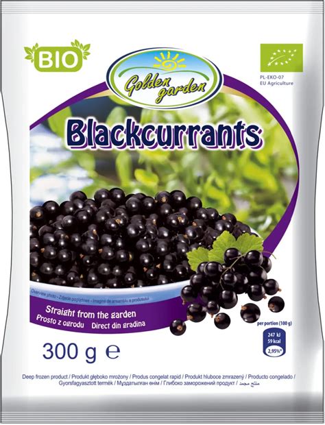 frozen blackcurrant iqf kg dayseaday