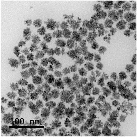 Preparation Method Of Dendrite Structured Cu Pt Nano Flower Particles