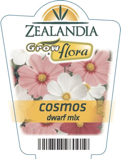 Cosmos Dwarf Mix Zealandia Horticulture