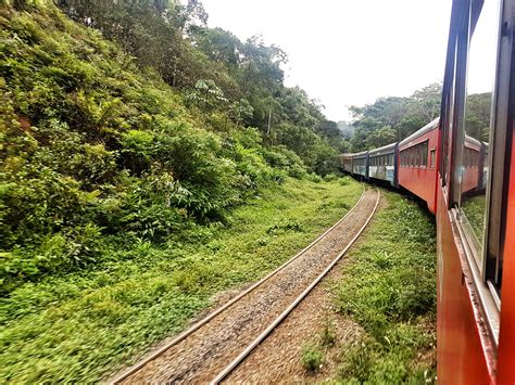 Como é o passeio de trem de Curitiba à Morretes Lu por ai