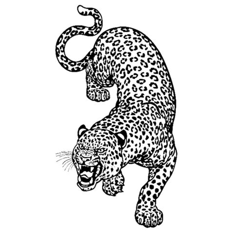 leopard temporary tattoo tatuagem de grifo tatuagens de marinheiro