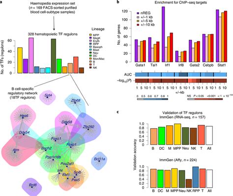 Derivation And Validation Of Hematopoietic Transcription Factor