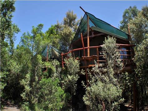 Teniqua Treetops Knysna South Africa