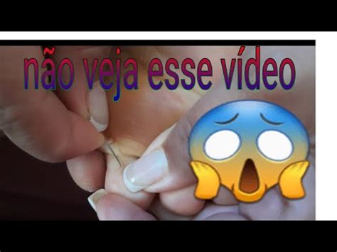 Bicho De Porco Amamenta O Dos Bezerros Youtube