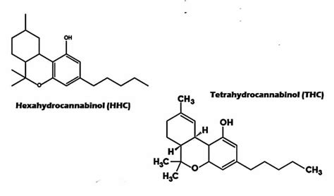 Hhc Vs Thc What Are The Differences Between These Two Similar