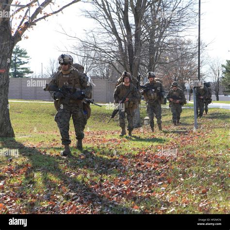 Marines with 2nd Battalion, 8th Marine Regiment, 2nd Marine Division ...