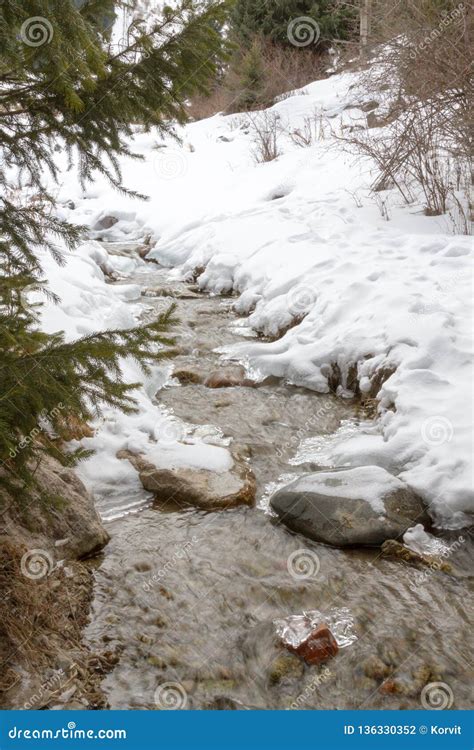 Corriente Congelada De La Monta A Foto De Archivo Imagen De Nieve